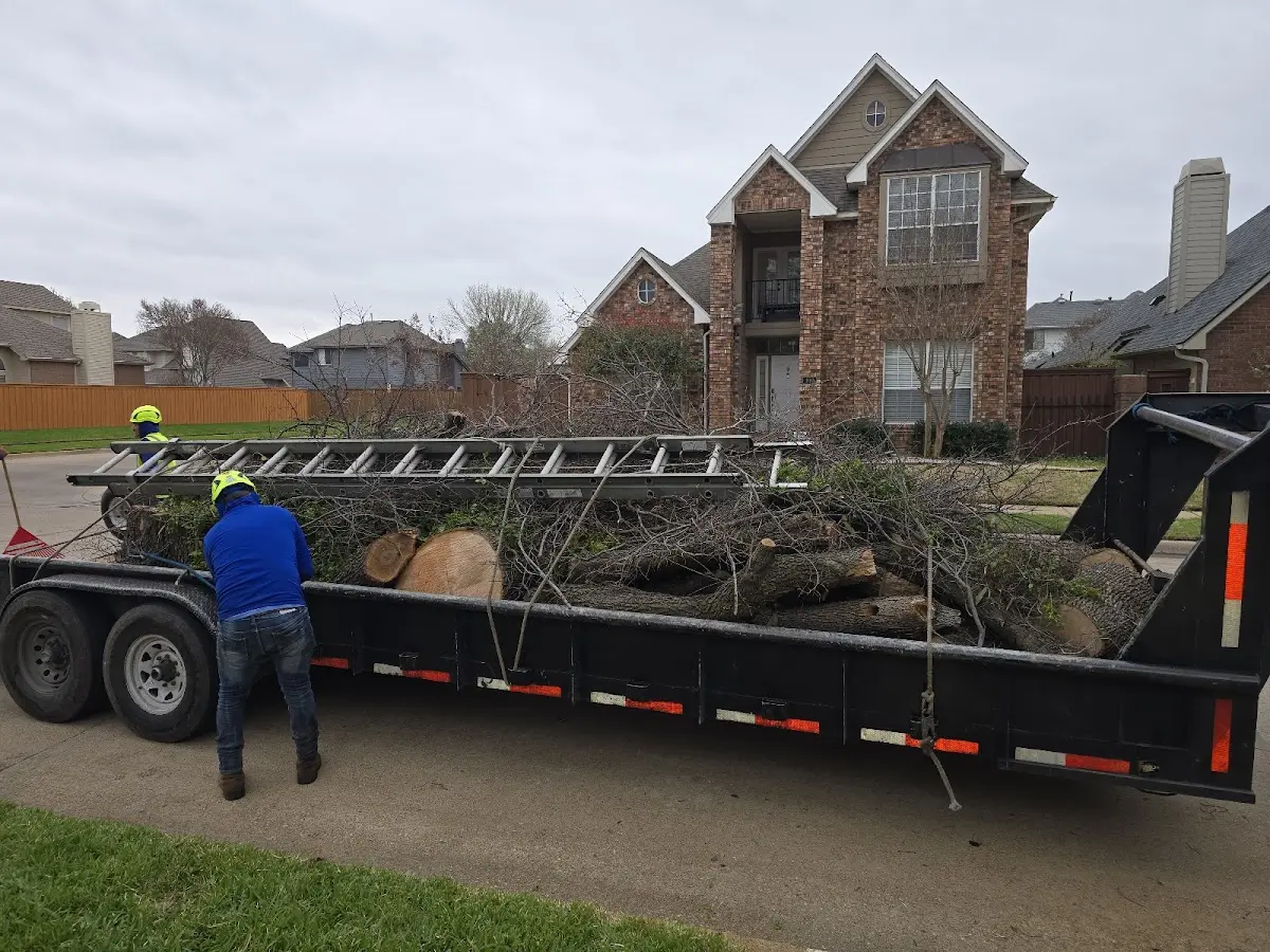 Expert Crown Reduction with proper safety equipment in Holly Pond